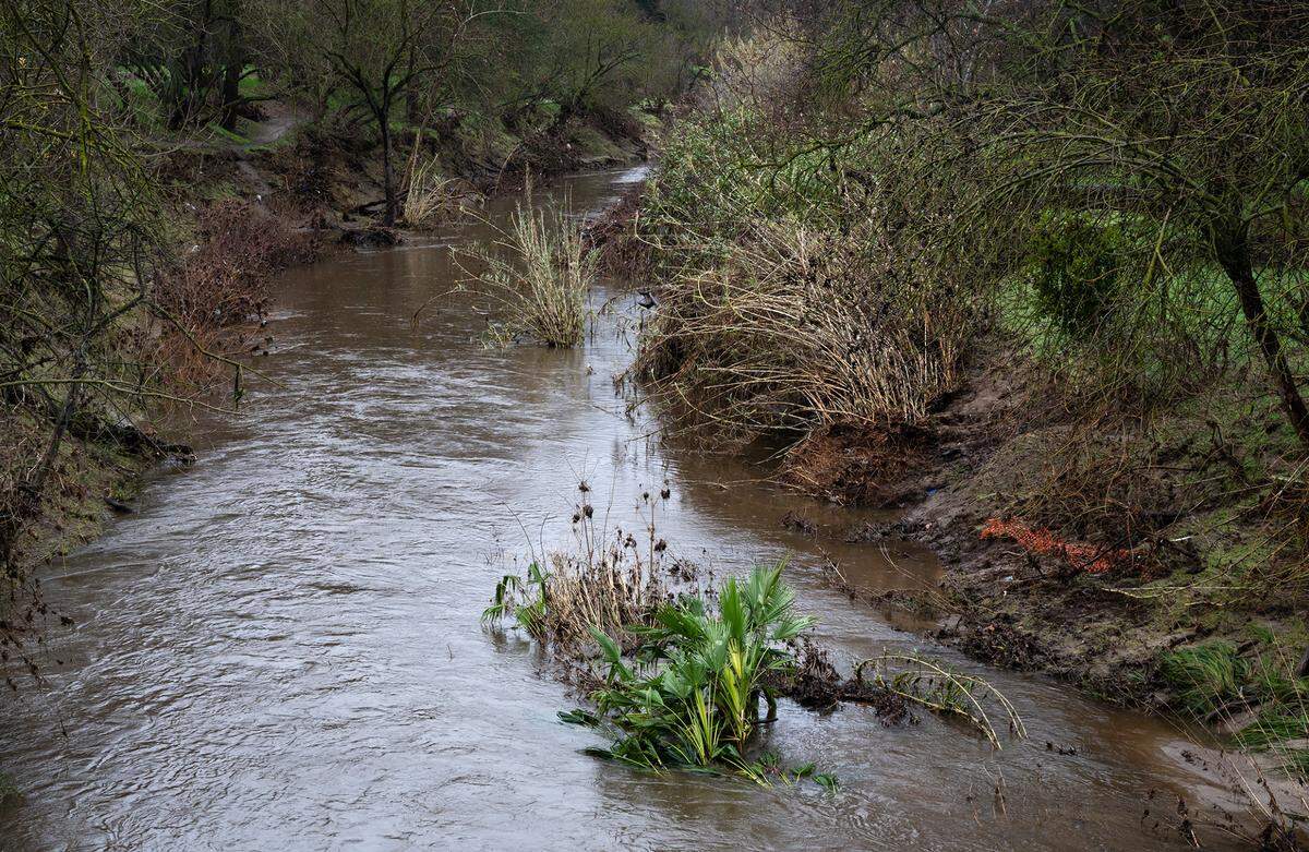 Dry Creek near coffee road in Modesto, Calif., Thursday, Jan. 5, 2023.
