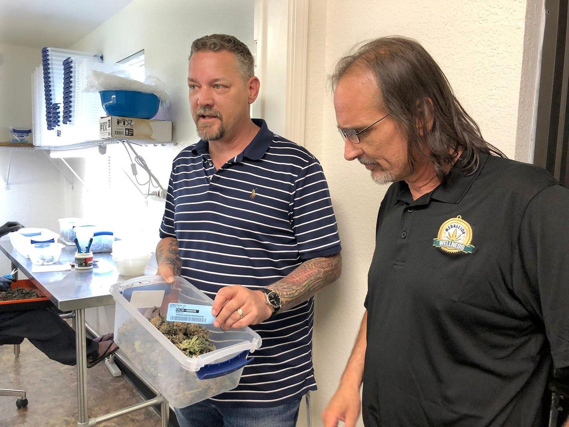 Bob Blink, the owner of Lyfted Farms holds a marijuana plant in a plastic bin that has a tag to be entered into the state’s track and trade system. Also pictured is Michael O’Leary (right), the owner of Medallion Wellness. The two are pictured Monday May 6, 2019 at Lyfted Farms in Modesto, Calif.