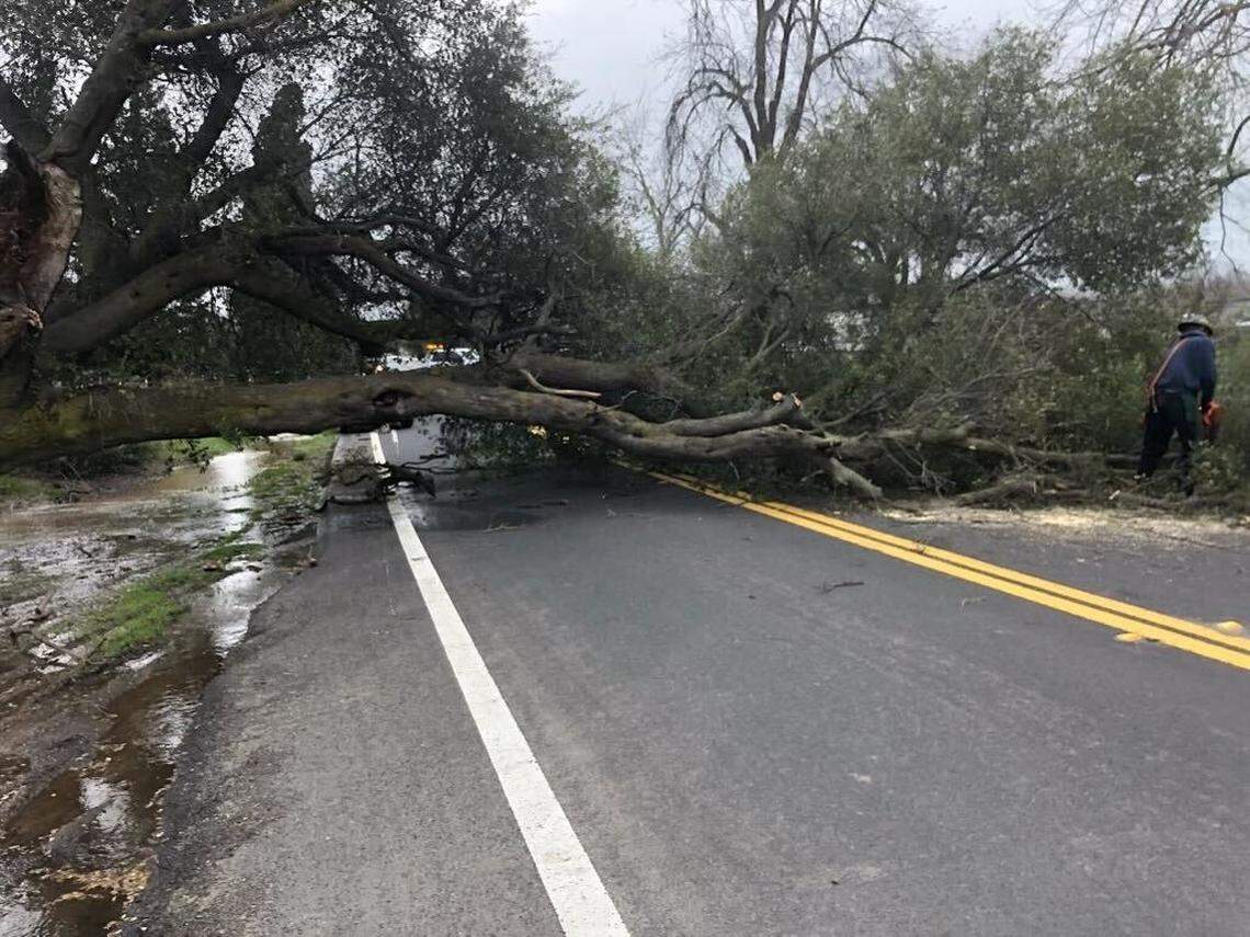 Modesto Fire Department Battalion 5 responded when a tree fell in Knights Ferry on March 15, 2023.