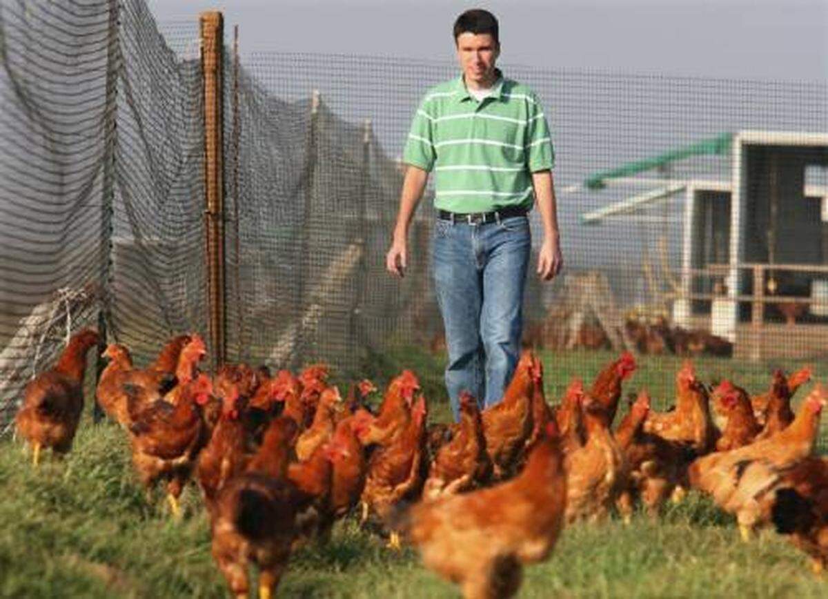 MTD JRW CHICKEN DAVID PITMAN