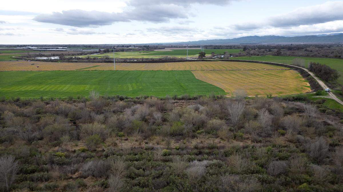 El proyecto de restauración de la llanura aluvial de Hidden Valley colinda con una sección restaurada de Dos Ríos, en primer plano, al oeste de Modesto, California, como se ve en esta imagen del jueves 29 de febrero de 2024. La organización sin fines de lucro River Partners está restaurando Hidden Valley, en virtud de un contrato con el Departamento de Recursos Hídricos de California.