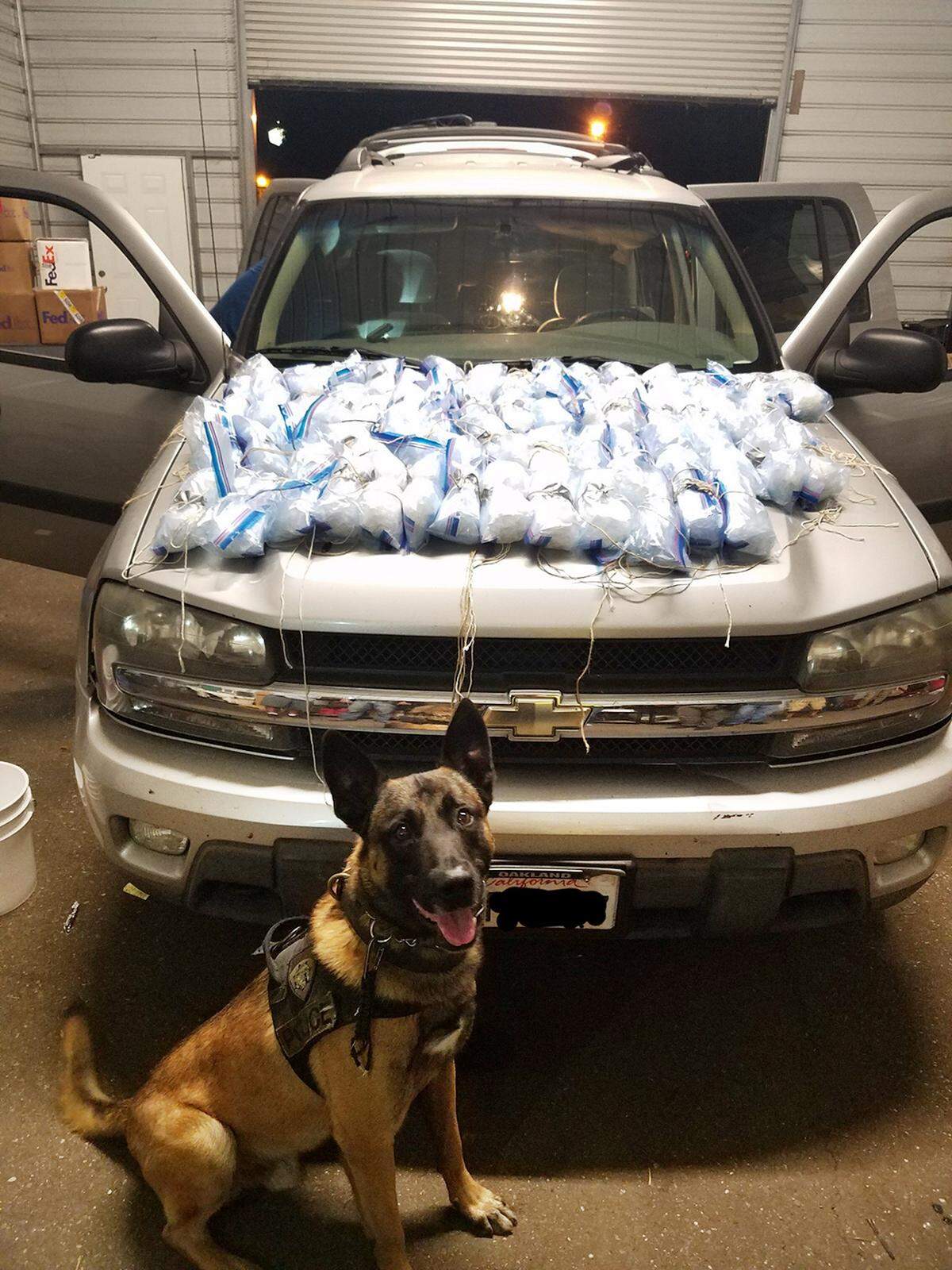 Pakito at a successful drug bust.