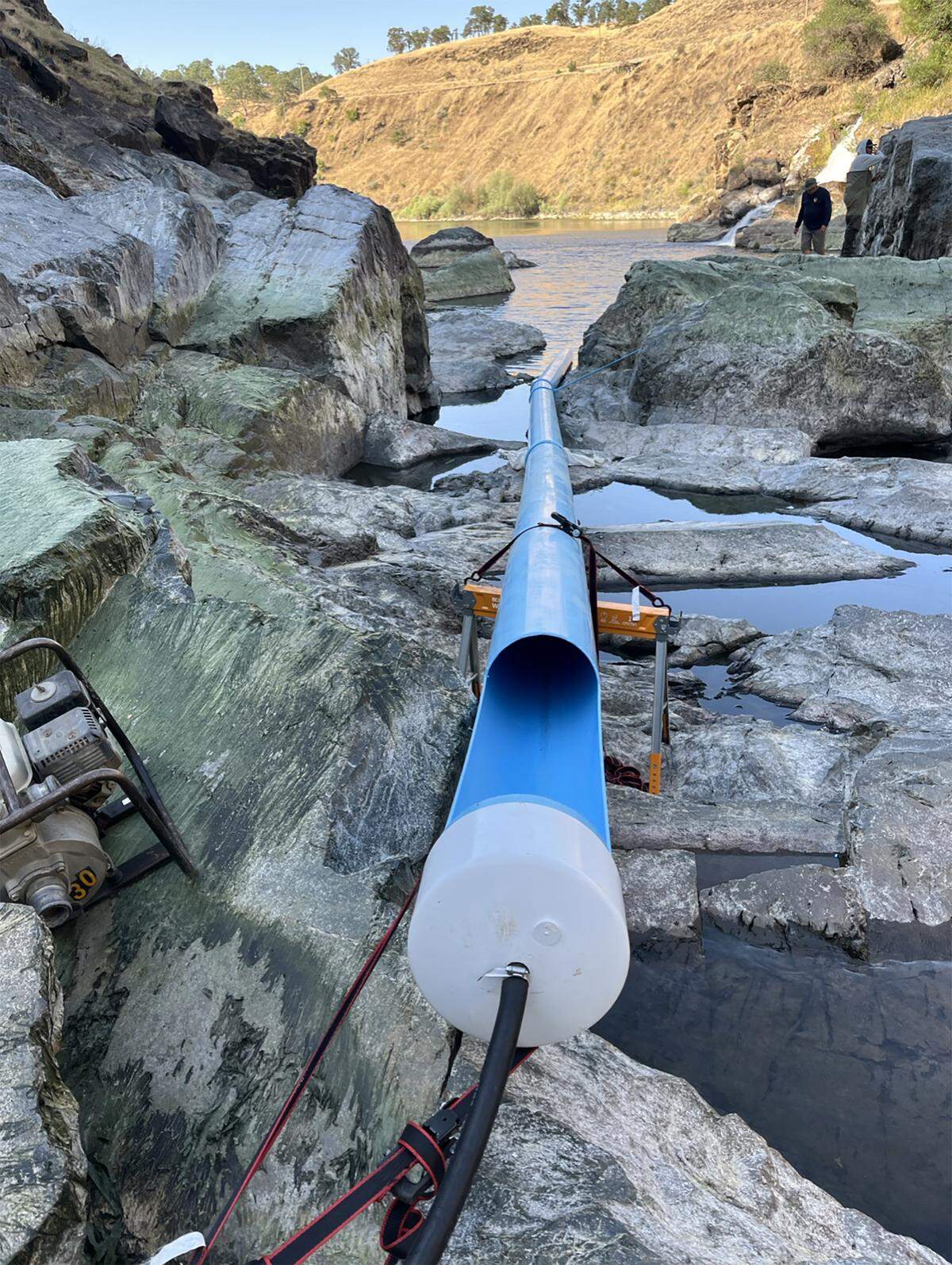 A plastic pipe helped move spring-run salmon that got trapped in a too-warm pool at the base of La Grange Dam on the Tuolumne River in May 2025. They were relocated about 200 feet downstream by the California Department of Fish and Wildlife with help from water agencies based in Modesto, Turlock and San Francisco.