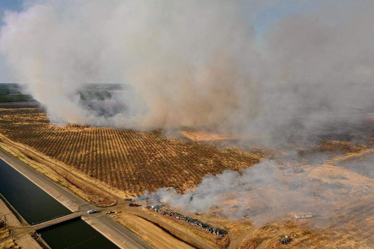 Firefighters battle a blaze at an abandoned almond orchard near Patterson, Calif. that burned more than 100 acres Sunday, April 17, 2022.
