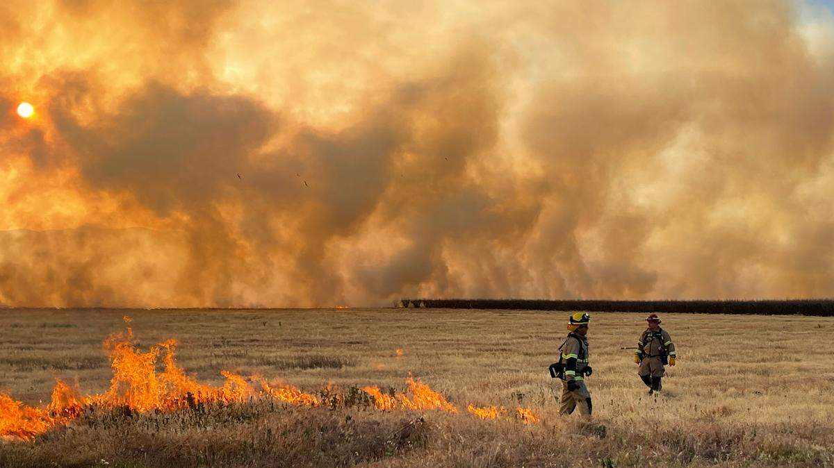 Firefighters battle a blaze at an abandoned almond orchard near Patterson, Calif. that burned more than 100 acres Sunday, April 17, 2022.