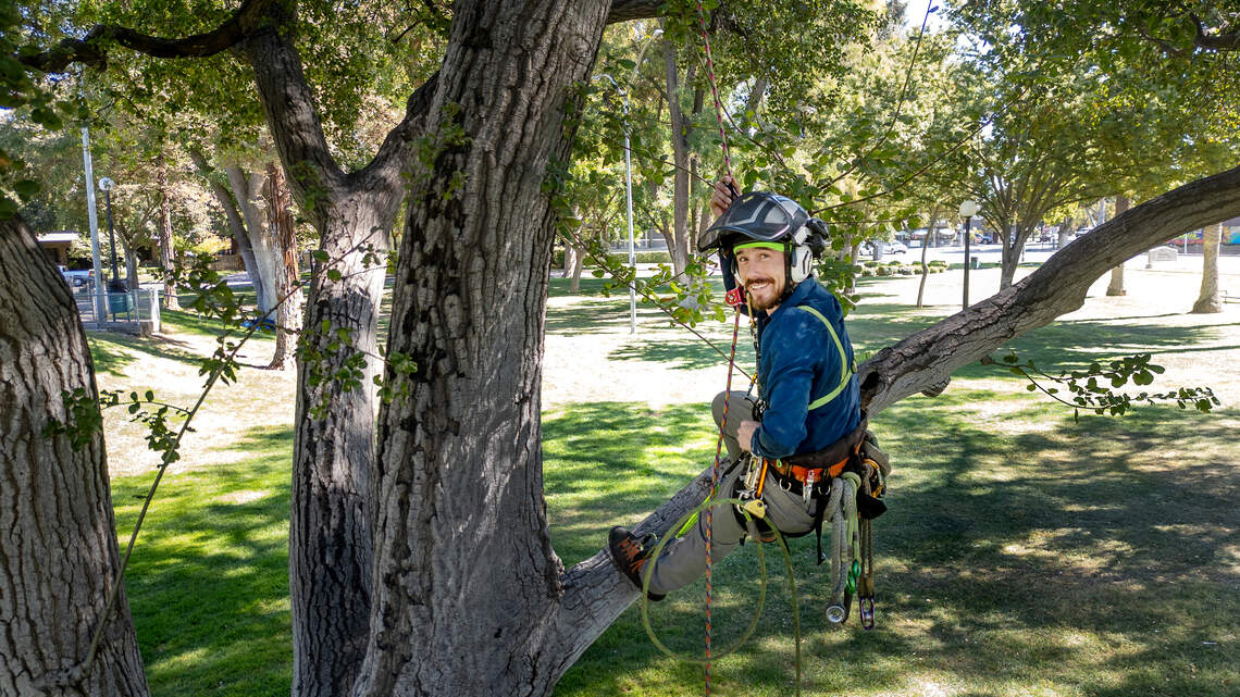 Who do you call when a cat is stuck in a tree? Free Modesto service will answer