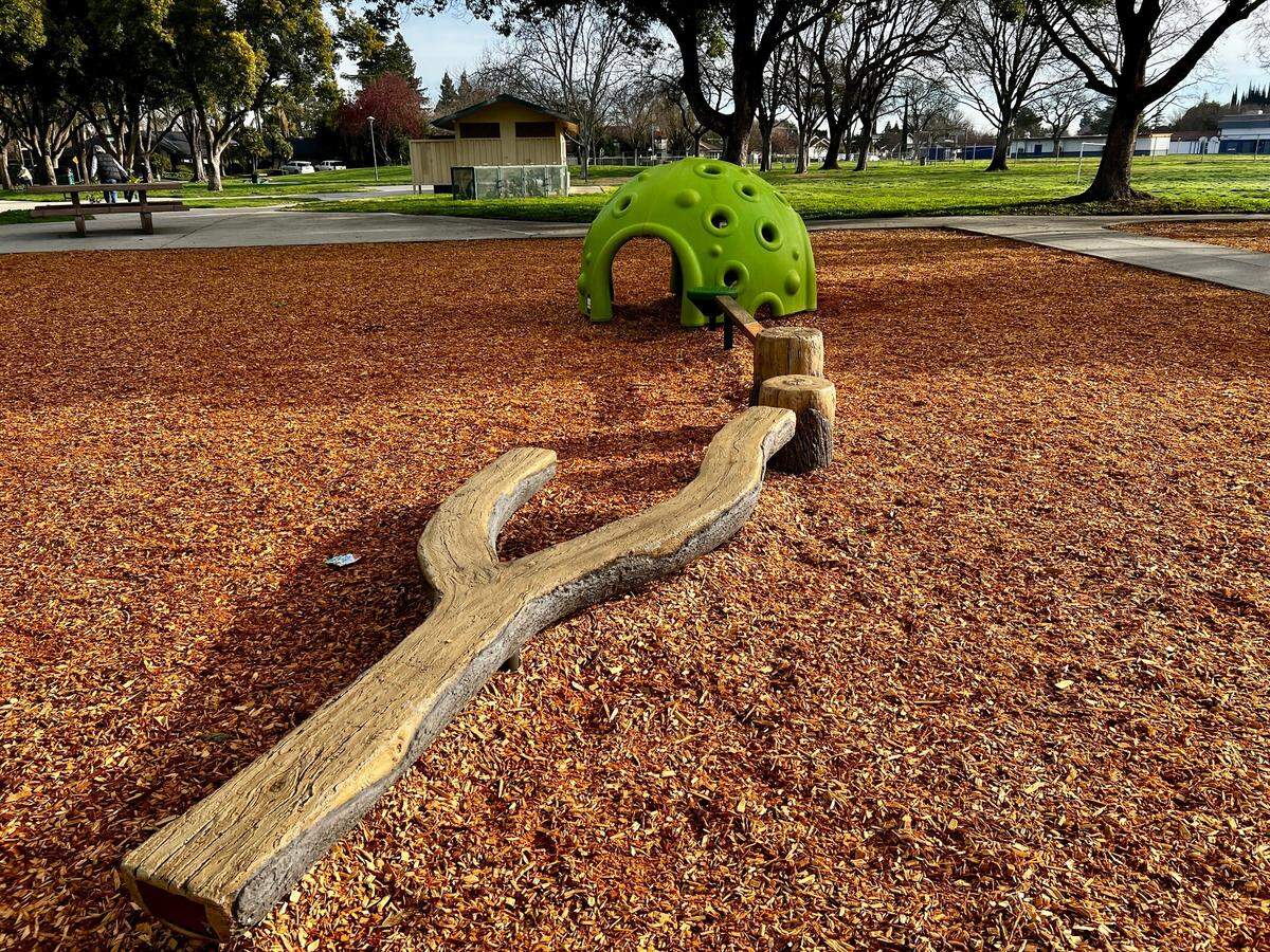 Lakewood Park in Modesto, CA, has a new tree house themed playground.