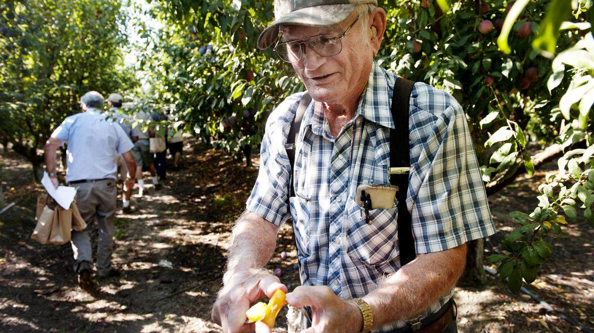 Floyd Zaiger the company’s patriarch and pioneer of modern fruit crosses, gives out samples.