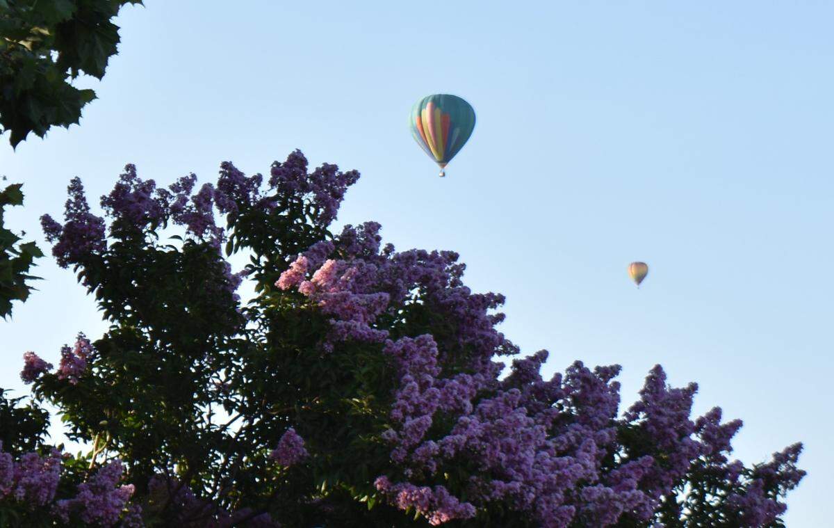 The first Skies the Limit hot-air balloon festival was held at River Bluff Regional Park in Ceres, California, on Saturday, June 17, 2023. Ten teams of balloonists took part. Spectators had to be there early to witness the launches, as most occurred between 6 and 7 a.m.