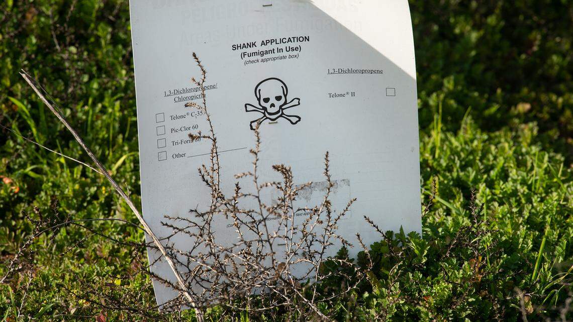 What is pesticide drift and why is Stanislaus environmental group worried about it?