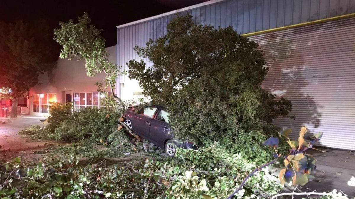 At about 1:15 a.m. Tuesday, Oct. 1, 2019, a driver struck a tree near the intersection of Ninth and L streets. The impact was enough to shear the tree at its base and topple the tree onto the car, pinning in the driver. He suffered minor injuries, police said.