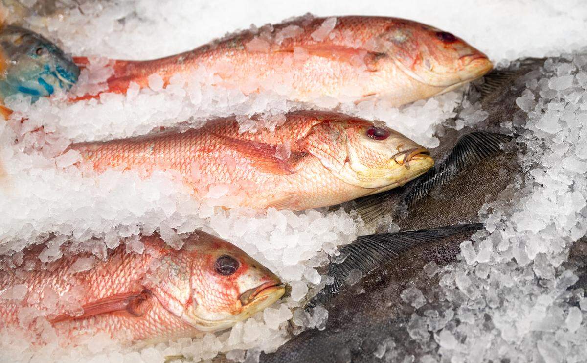 Fresh red snapper at Asian Market in Modesto, Wednesday, July 2, 2025.