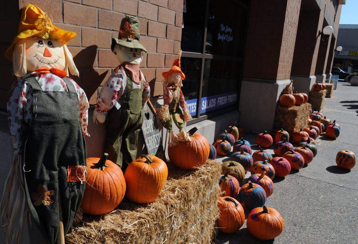 JOAN BARNETT LEE / jlee@modbee.com Painted pumpkins dry in the sun on the 10th street plaza on Saturday afternoon (10-22-11) at the first annual Downtown Modesto Harvest Festival in Modesto.