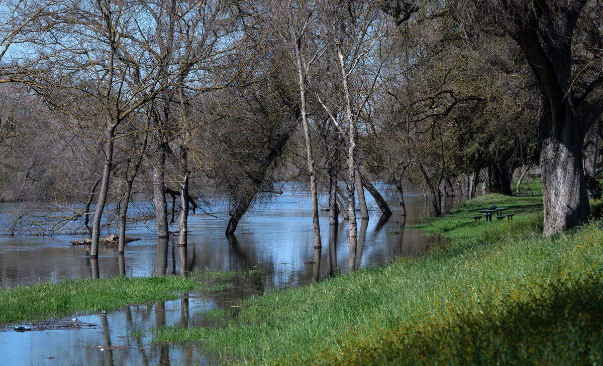 Legion Park in the Tuolumne River Regional Park in Modesto, Calif., Thursday, March 16, 2023.