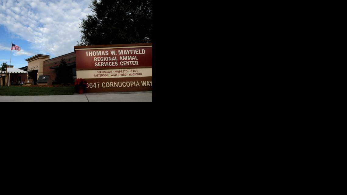 BA Regional Animal Services 1