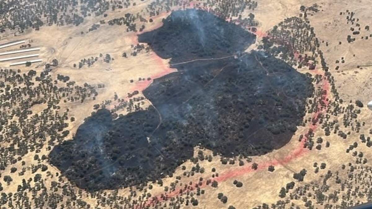 The Owl Fire in Tuolumne County has burned 120 acres since starting early Tuesday morning.