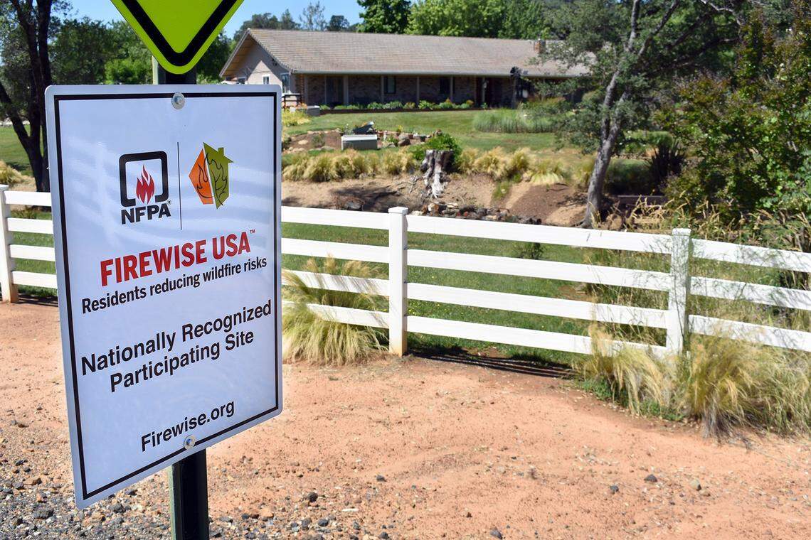 Efforts by  neighbors to remove fire fuel have made the Lambert Lakes Estates community within Sonora, Calif. a Firewise USA site. The area is pictured Wednesday, June 19, 2019, in the Sonora area of Tuolumne County.