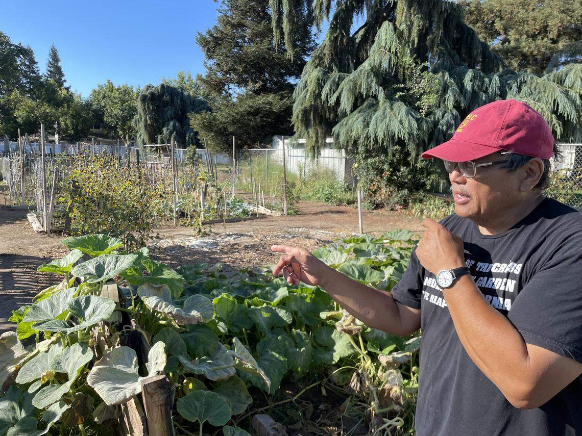 Modesto volunteers build thriving 140-plot community garden | Modesto Bee
