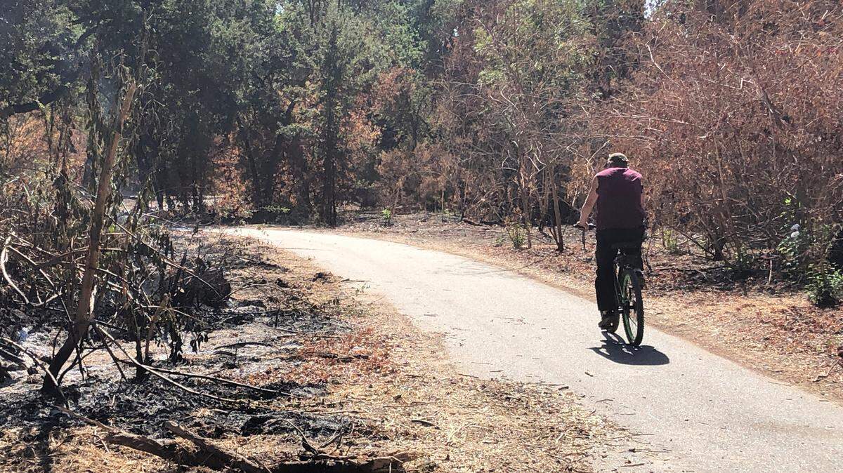 A bicyclist rides near a controlled burn that is part of an effort to reduce wildfire fuels in Tuolumne River Regional Park in October 2020.