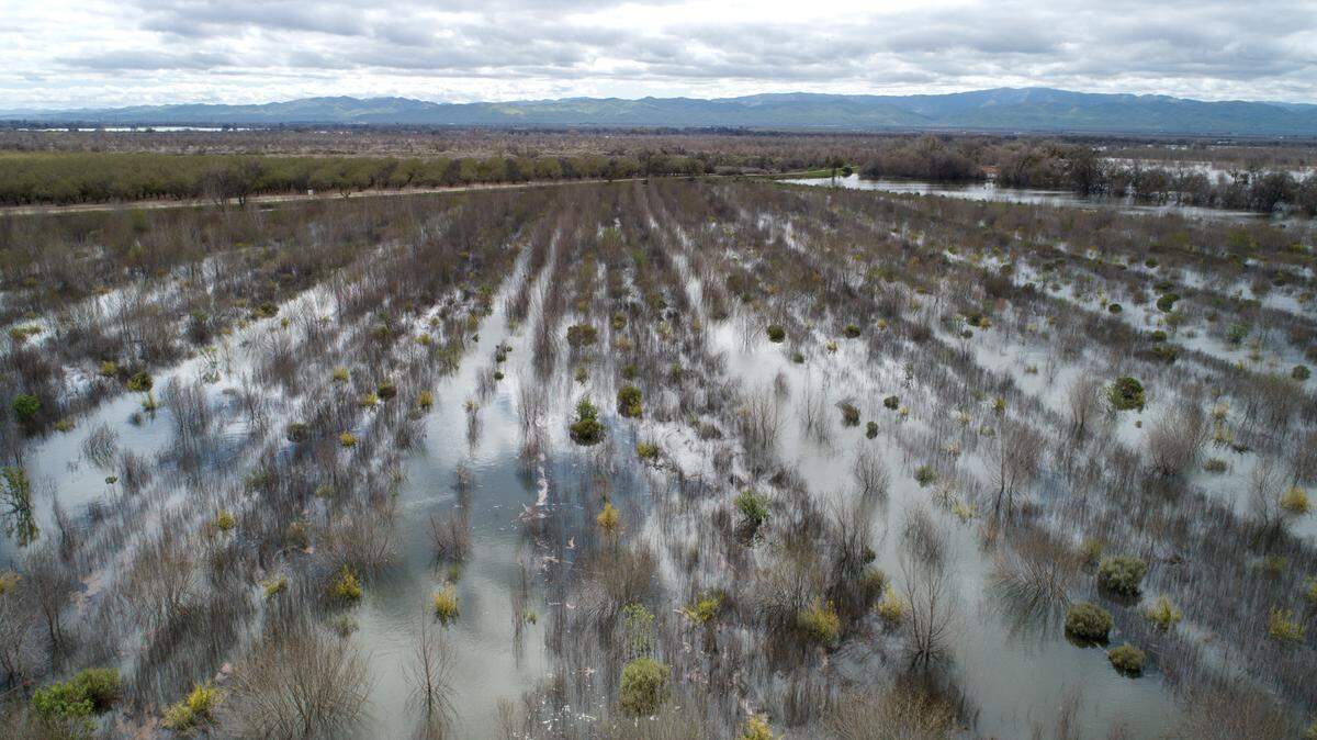 The floodplain at Dos Rios Ranch is inundated by the Tuolumne and San Joaquin rivers near Modesto, Calif., Wednesday, March 15, 2023.