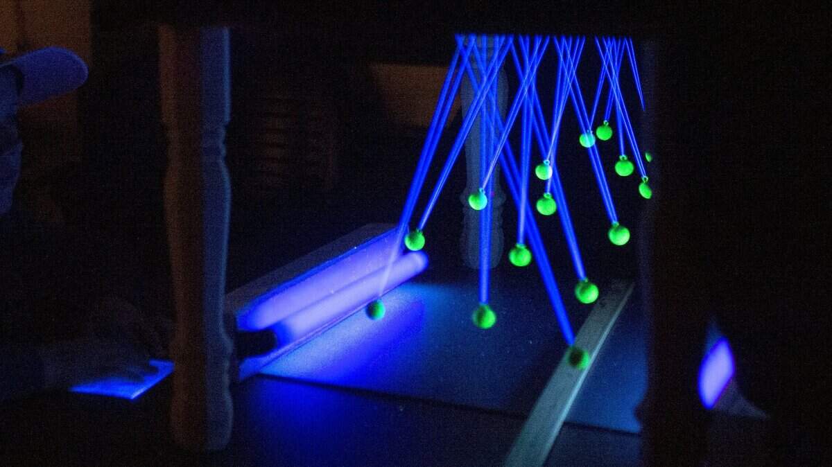 A demonstration on light waves was part of the 2016 Science Day at California State, University, Stanislaus, in Turlock.