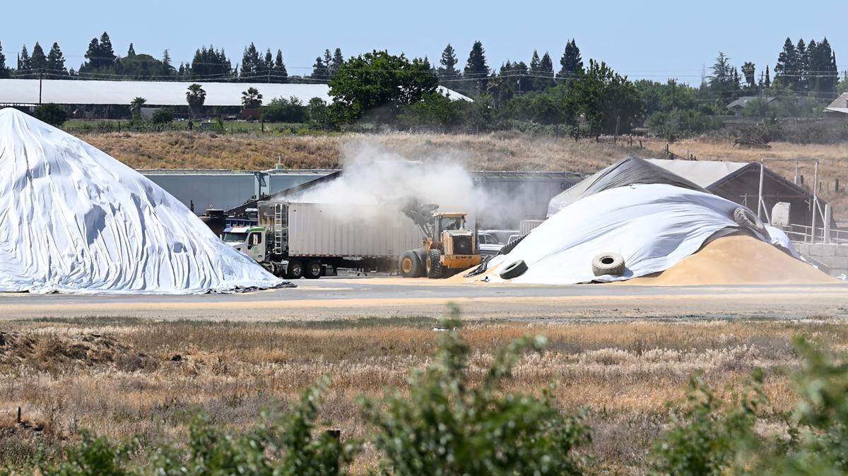 Sierra Northern Railway operates a grain-loading facility in Oakdale on Monday, May 18, 2025. The railroad has filed an eminent domain lawsuit to acquire a neighbor’s property on Sierra Road.
