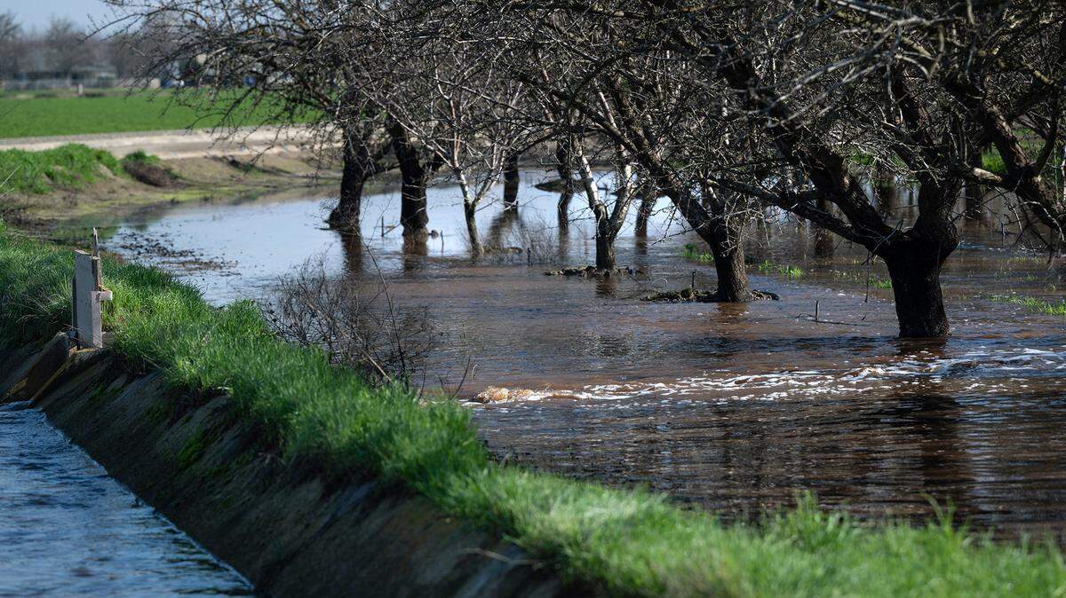 Storm water is diverted from a Turlock Irrigation District canal to flood an almond orchard at the Gemperle family farm near Keyes, Calif., Wednesday, Jan. 18, 2023.
