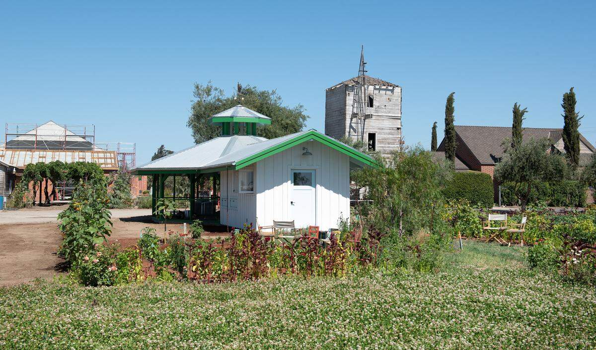 Chicken coup and grassy area planted with New Zealand white clover at Zinc House Farm in Escalon, Calif., on Tuesday, June, 21, 2022.