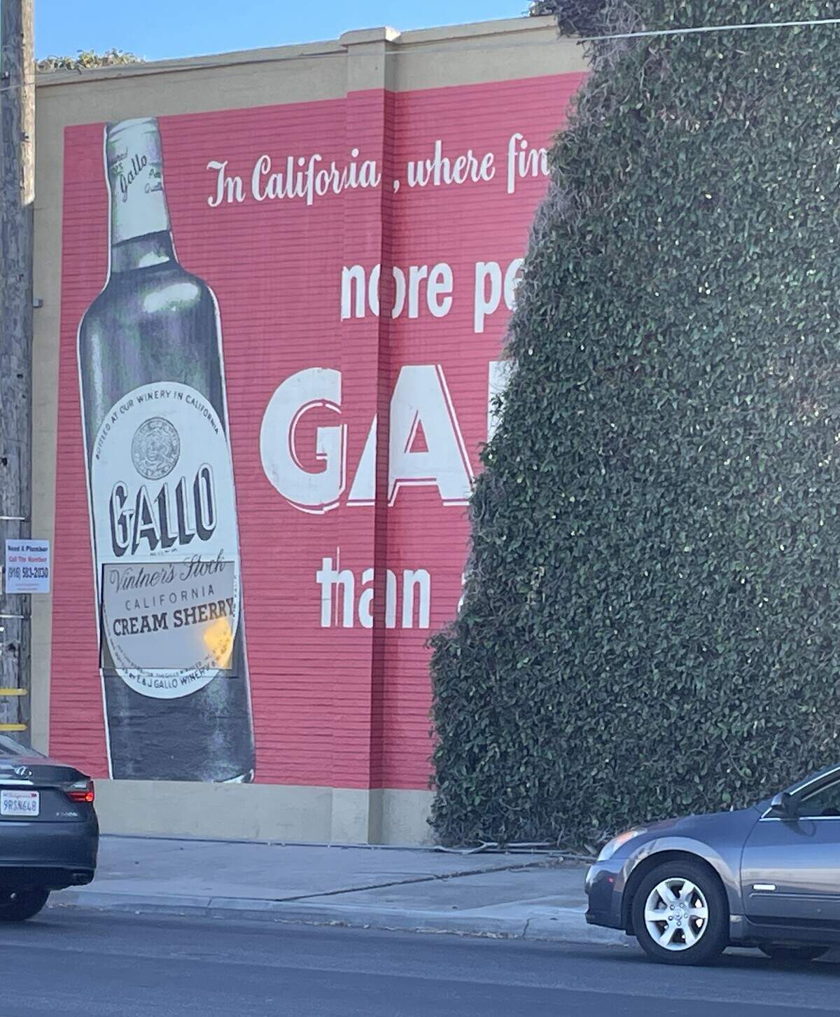 E.&J. Gallo Winery created a mural in March  on its original 1933 building in Modesto. It covers a vandalized part of the ivy-covered facade.