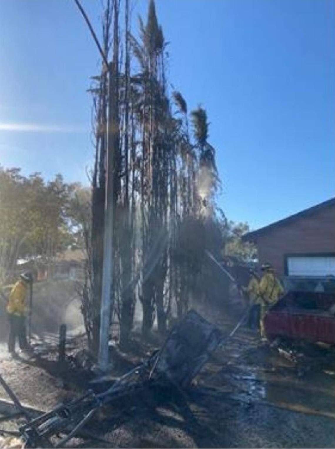 Illegal fireworks are the apparent cause of a fire in Turlock that burned six Italian cypress trees and a fence on Saturday, June 25, 2022.