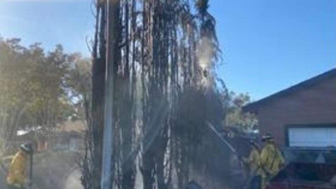 Illegal fireworks are the apparent cause of a fire in Turlock that burned six Italian cypress trees and a fence on Saturday, June 25, 2022.