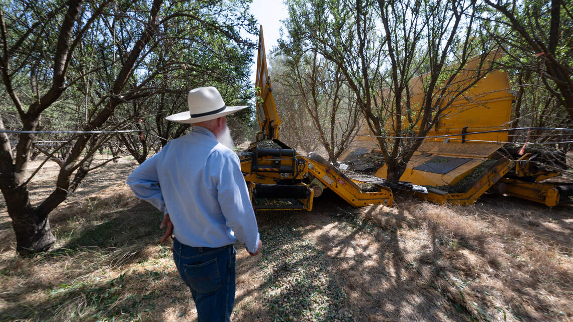 Central Valley almond farm cuts down on harvest dust. It’s all about nurturing soil