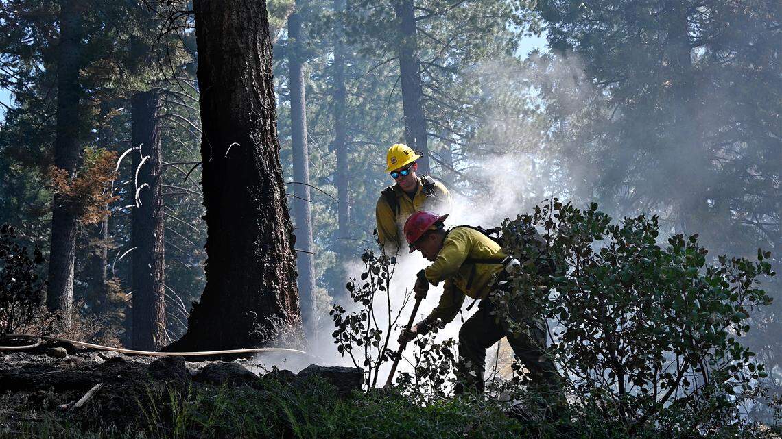 Stanislaus forest seeks to tame megafires on 260,000 acres. Valley air, water could benefit