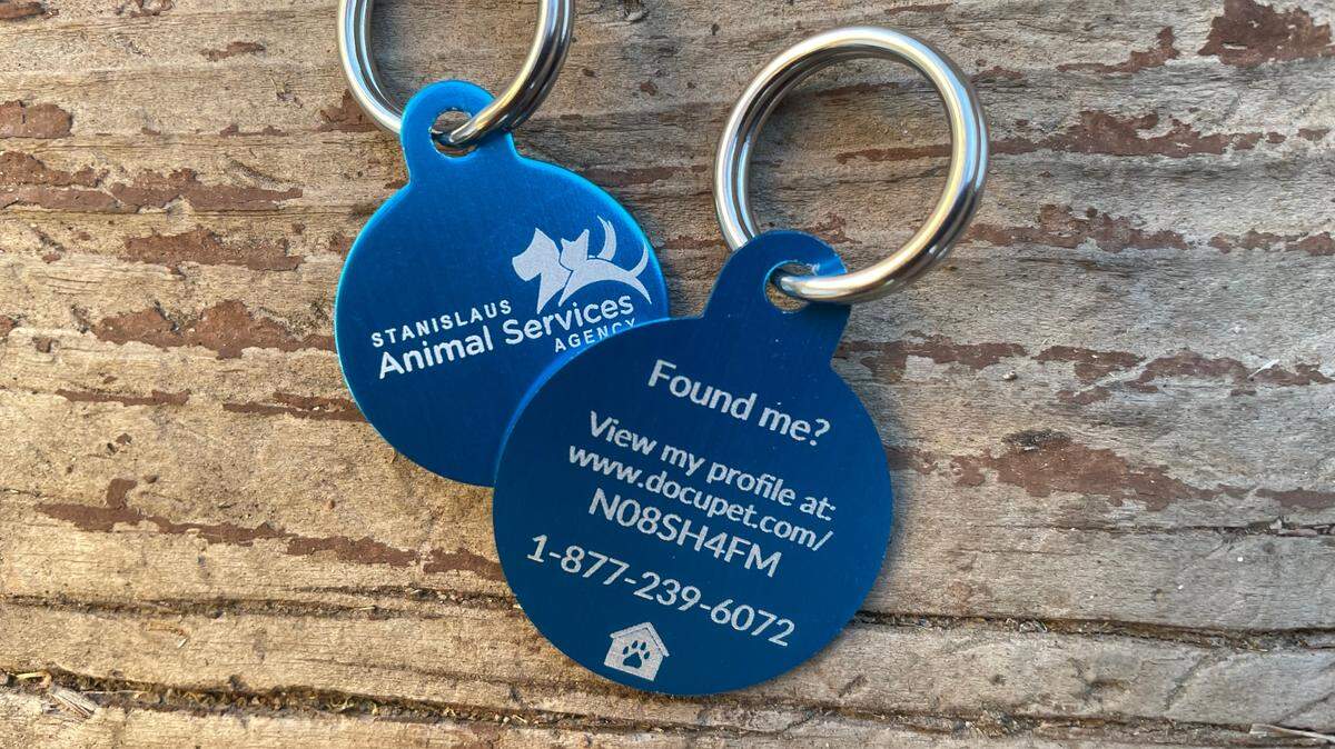 Licensing a dog allows for lost pets to be quickly reunited with their owners because the information on the tag lets animal control officers or neighbors contact the owner.