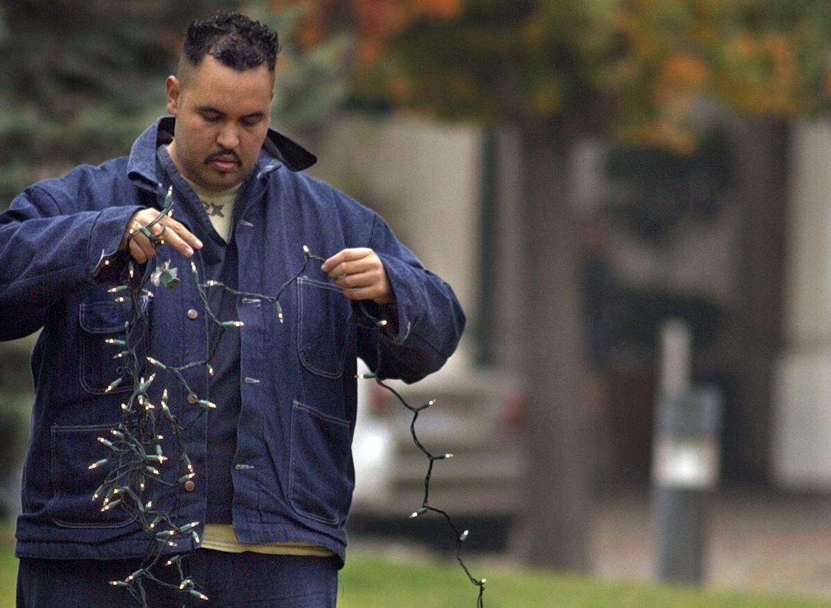 Donny Gonzales on work detail with the Stanislaus County Honor Farm unwraps Christmas lights to put on trees in front of the Modesto Centre Plaza on K Street Tuesday morning (11-16-04) in preparation for the December 4th tree lighting ceremony that will be in downtown Modesto.