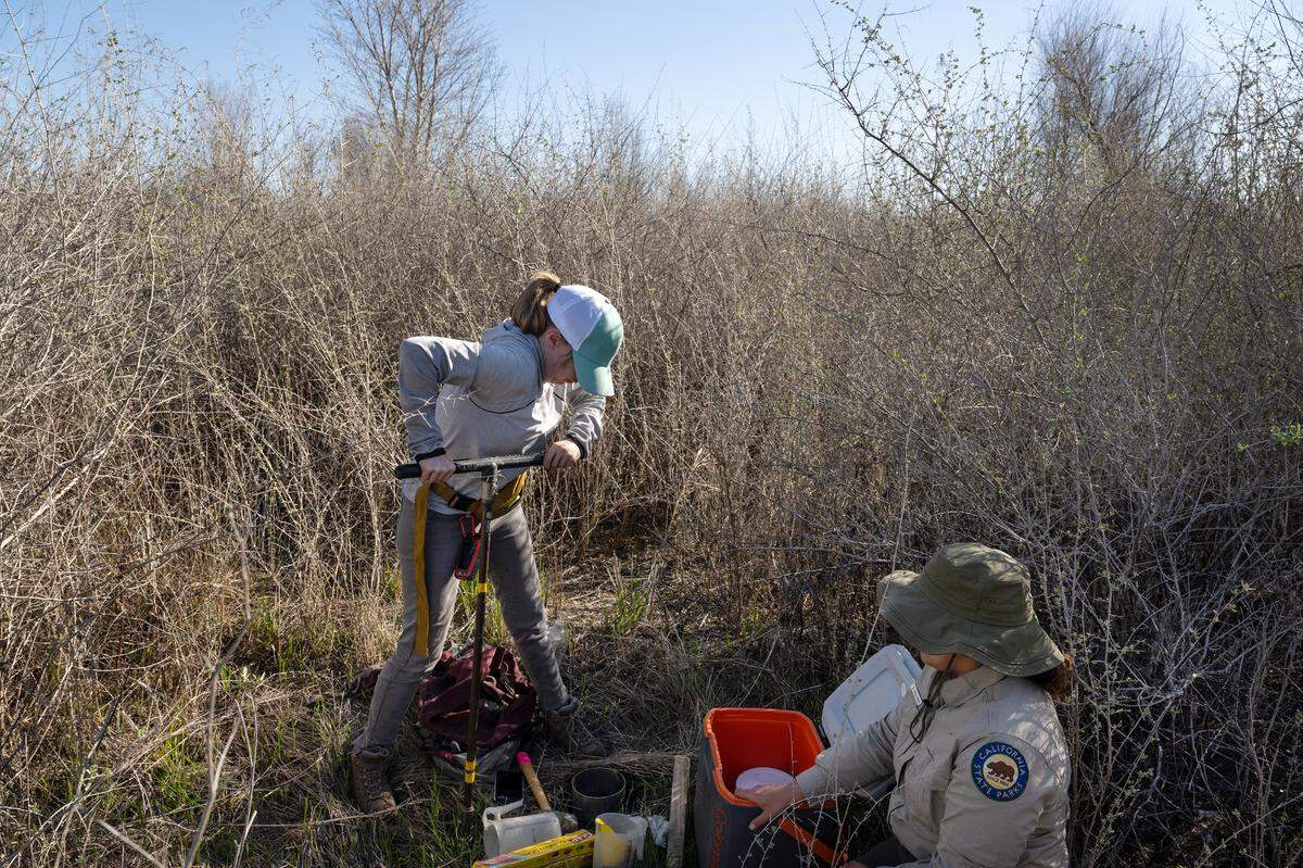 Point Blue senior soil scientist Lisa Eash and Dos Rios State Park environmental serivice intern Chrissy Sullivan, right, collect soil samples as part of a project to assess soil health at Dos Rios State Park.