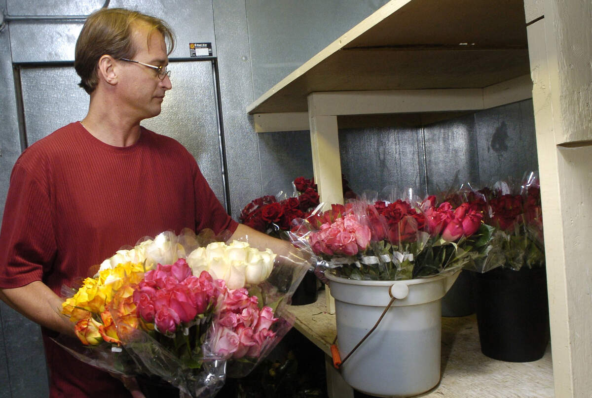 Chris Downing, shuffles the roses from the refrigerated storage to the front of the shop at Hart Floral, Wednesday, Sept. 1, 2004 for the Good Neighbor Day giveaway. Downing is one of the owners of Hart Floral. The idea for the free dozen rose giveaway is to keep one rose for yourself and give the others to 11 other people to spread goodwill. 600 dozen roses were give away from Hart Floral.