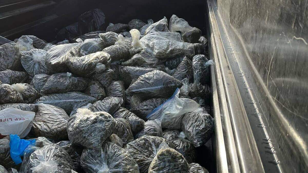 Bagged marijuana was seized by the Stanislaus County Sheriff’s Office in Denair on Thursday, Dec. 21, 2023.