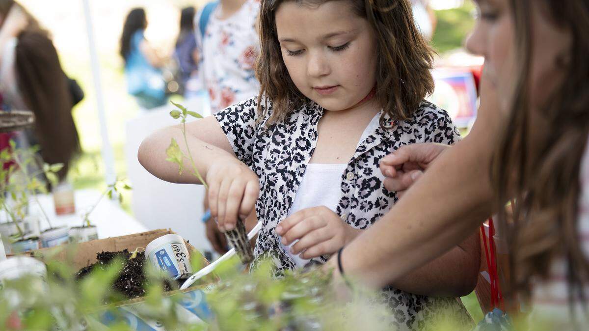 Olivia McKee, 6, pots a tomato seedling during the Earth Day celebration at Graceada Park in Modesto, Calif., Saturday, April 20, 2019.