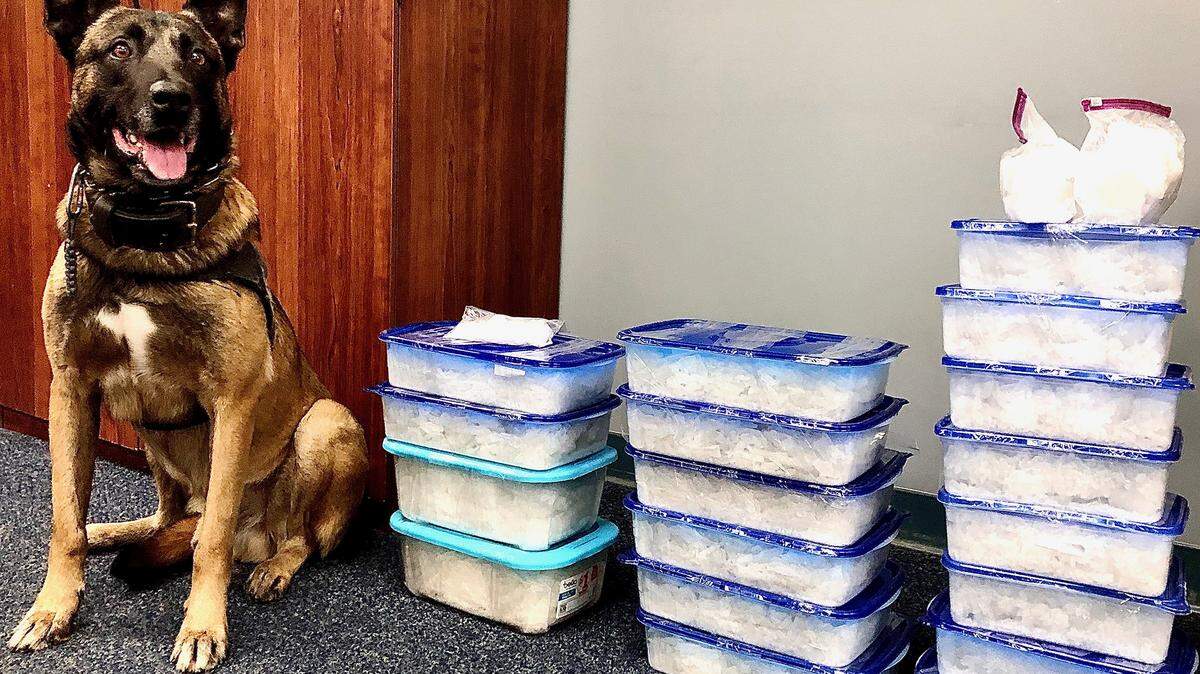 CHP K9 Pakito with 85 pounds of meth that was seized during a traffic stop Thursday.