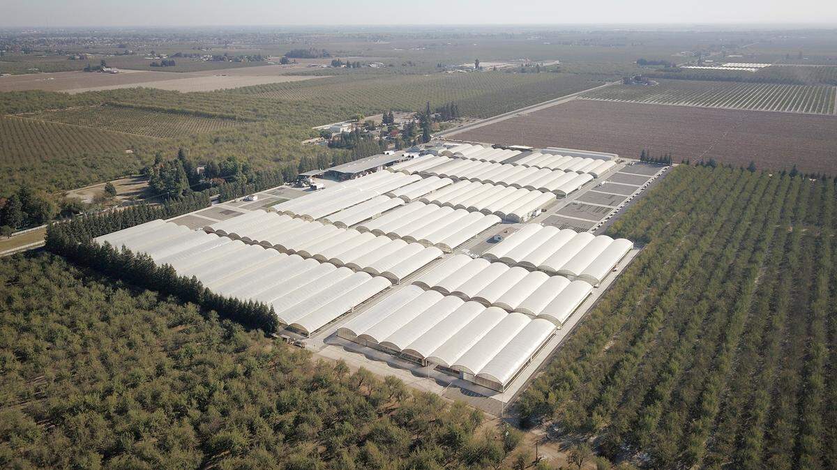 Dave Wilson Nursery near Hickman, California, has purchased the greenhouses of Fredriks Nursery of Ripon and will use them for fruit and nut tree seedlings. The deal was announced Nov. 25, 2019.