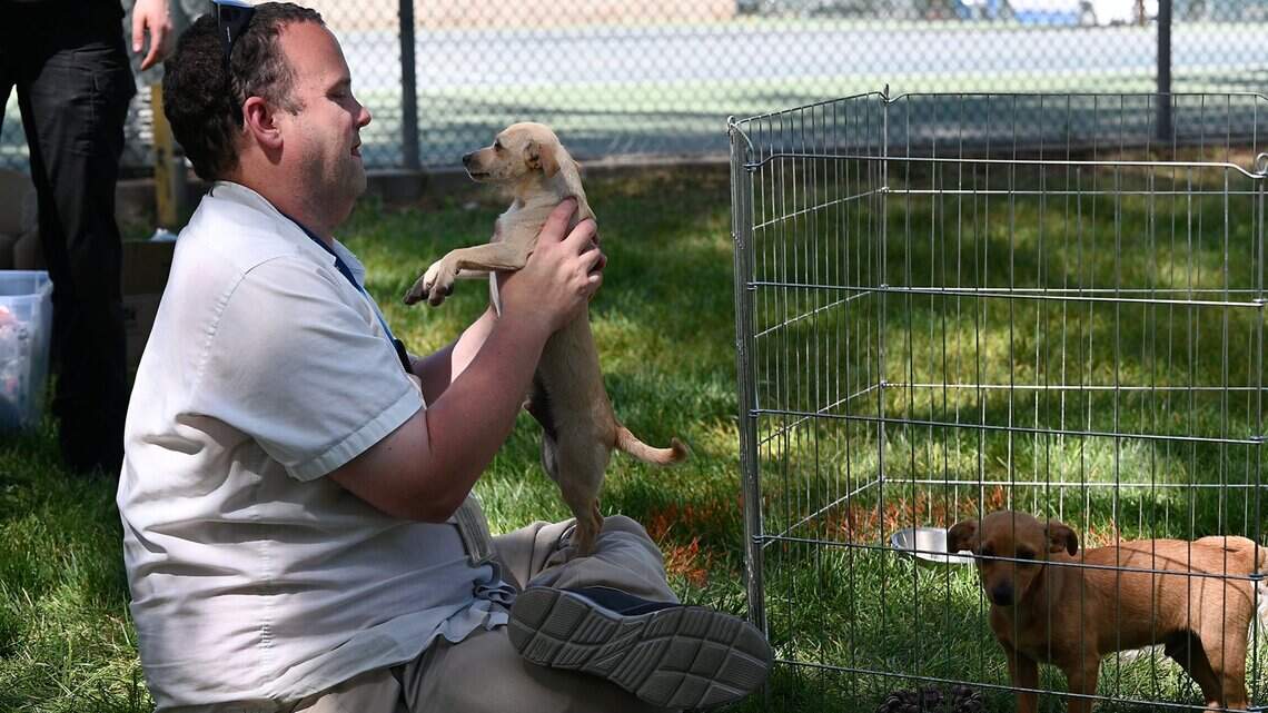 Looking to give back? Here are ways to volunteer in the Modesto area