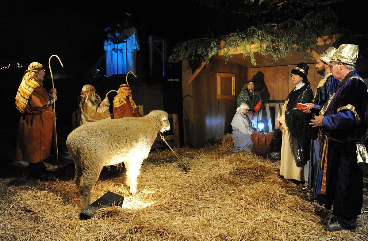 Actors at Modesto Free Methodist Church portray Mary, Joseph, the three wisemen who traveled from far, as well as the shepherds who were tending to their flock. Members performed the free live Nativity drama in the church’s parking lot transformed with a stable, manger, and live animal at Rose and Briggsmore performed every half hour starting at 7:00 pm Friday (12-21-13) and will go on through Sunday evening.