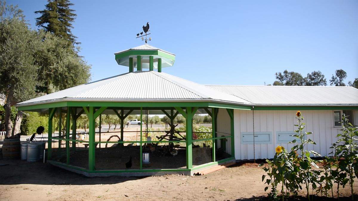 Chicken house at Zinc House Farm in Escalon, Calif., on Tuesday, June, 21, 2022.