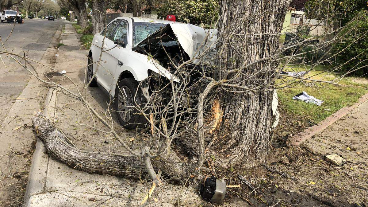 A 35-year-old man and a 10-year-old girl were hurt when a Ford Taurus crashed into a tree on La Loma Avenue in Modesto on Monday morning, March 25, 2019.