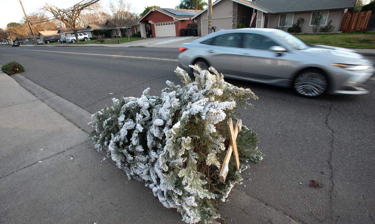 Trees treated with flocking, paint or fireproofing cannot be composted and will not be collected by city crews. People disposing of untreated, real Christmas trees should remove all tree stands, rods and decorations, including tinsel and ornaments. Residents should also cut their tree in half if it is larger than 6 feet tall.