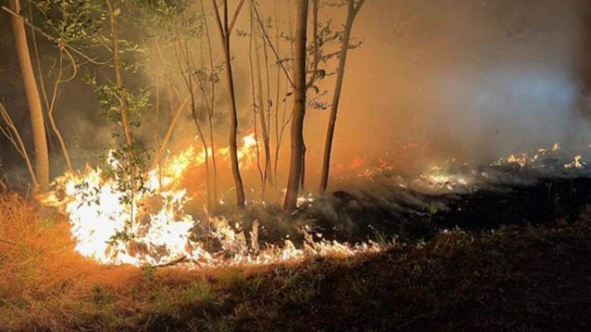 River bottom fire from wind conditions near Burchell Hill Drive on Thursday.