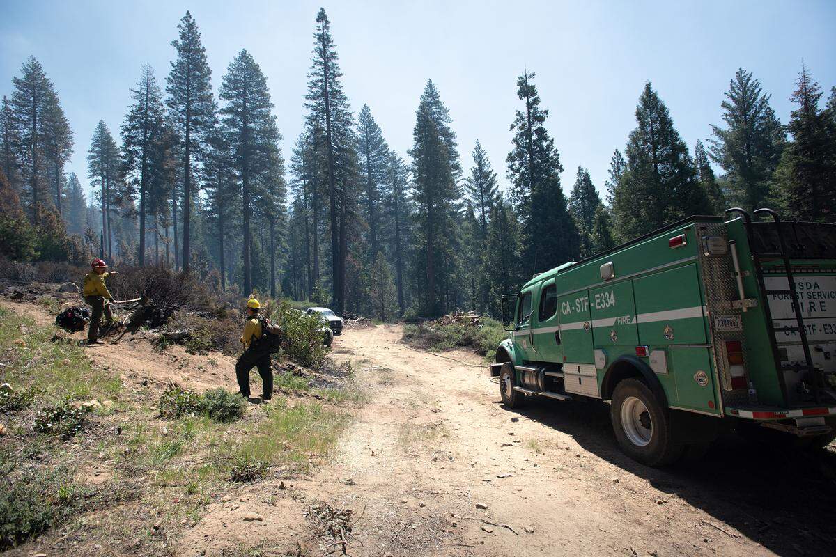 Firefighters mop up hotspots after a prescribed burn in the Stanislaus National Forest near Strawberry, Calif., on Friday, May 20, 2022.
