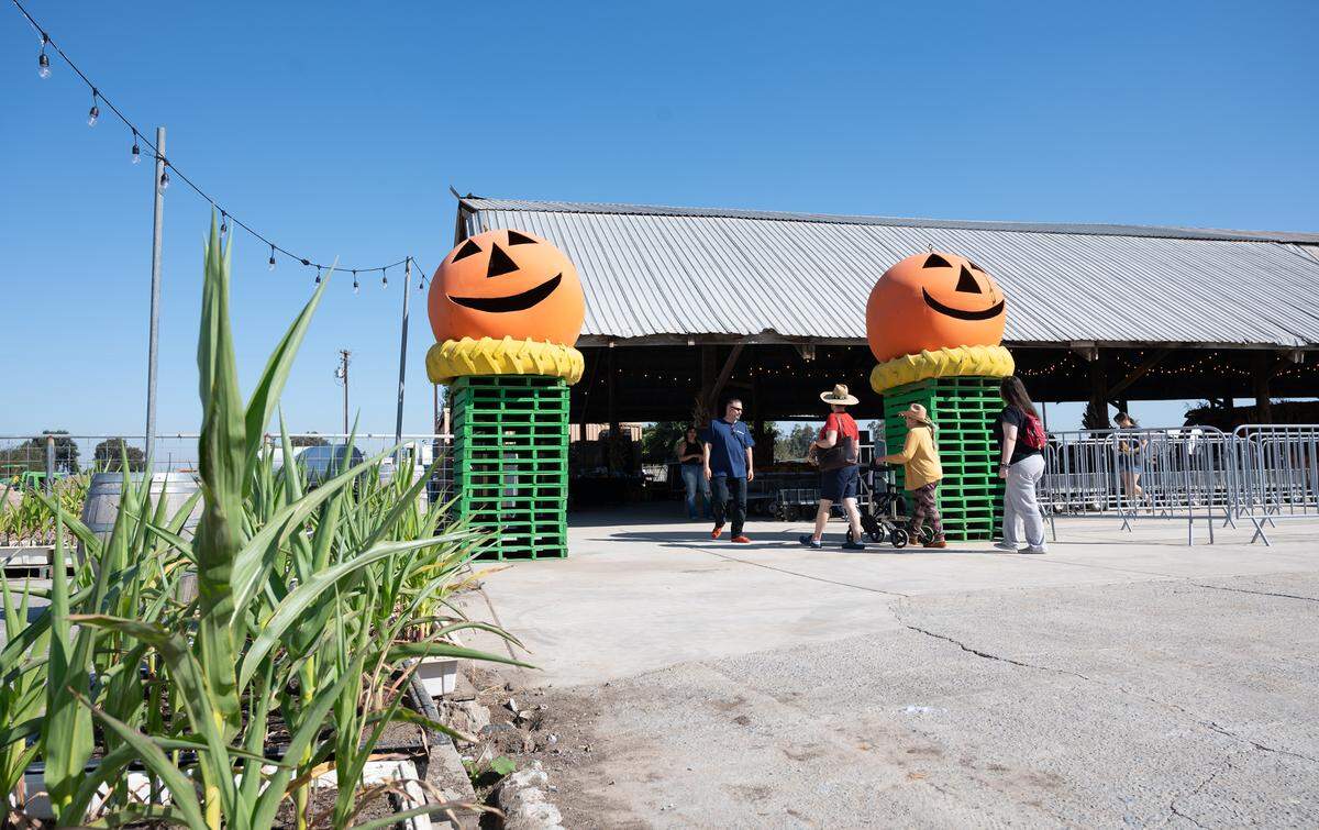Dutch Hollow Farms in Modesto, Calif., Thursday, Oct. 5, 2023.