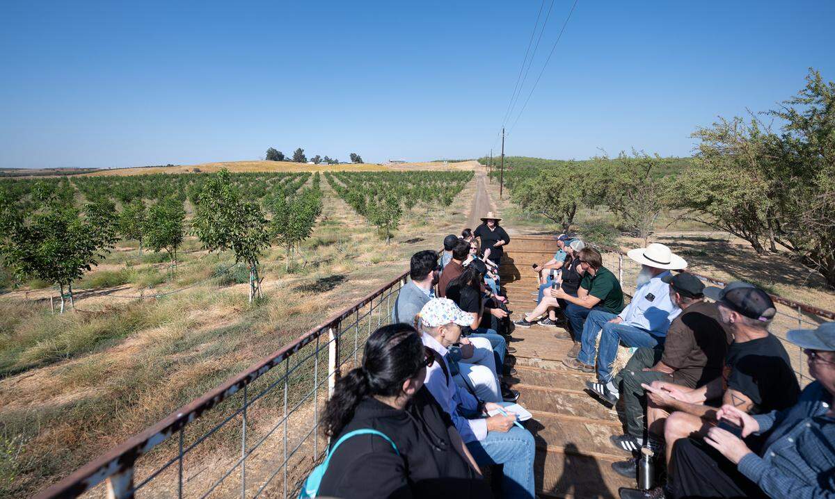 La cultivadora de almendras Benina Burroughs Montes habla con invitados durante un recorrido en Burroughs Family Farms al este de Denair, California, el martes 19 de septiembre de 2023.